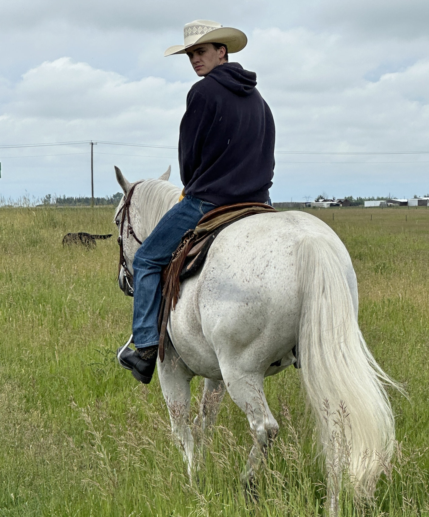 Jack Drake of Drake Cattle on horseback